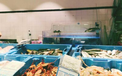 Rybí trh v Španielsku: Tipy, triky a slovíčka